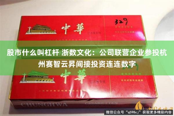 股市什么叫杠杆 浙数文化：公司联营企业参投杭州赛智云昇间接投资连连数字
