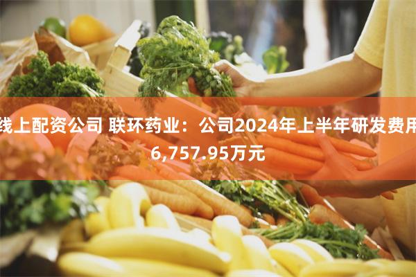 线上配资公司 联环药业：公司2024年上半年研发费用6,757.95万元
