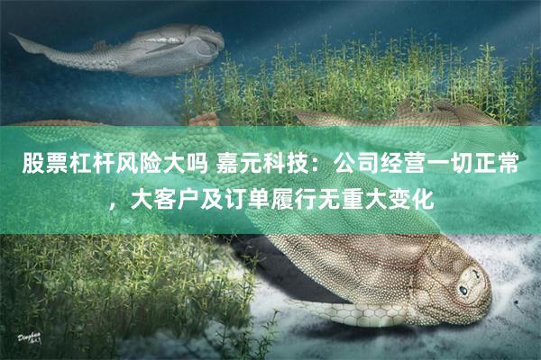 股票杠杆风险大吗 嘉元科技：公司经营一切正常，大客户及订单履行无重大变化
