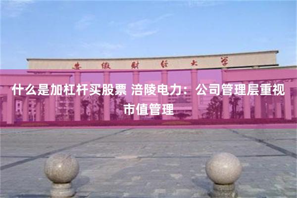 什么是加杠杆买股票 涪陵电力：公司管理层重视市值管理