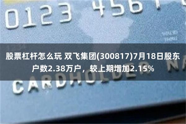 股票杠杆怎么玩 双飞集团(300817)7月18日股东户数2.38万户，较上期增加2.15%