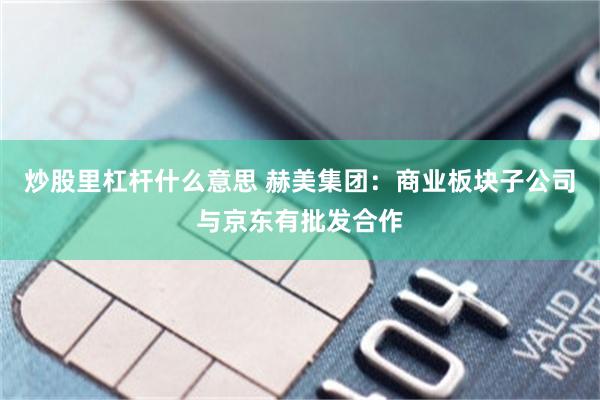 炒股里杠杆什么意思 赫美集团：商业板块子公司与京东有批发合作