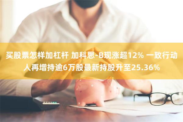 买股票怎样加杠杆 加科思-B现涨超12% 一致行动人再增持逾6万股最新持股升至25.36%