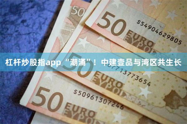 杠杆炒股指app “潮涌”！中建壹品与湾区共生长