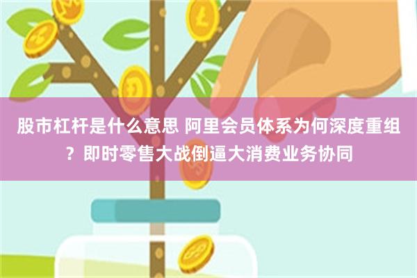 股市杠杆是什么意思 阿里会员体系为何深度重组？即时零售大战倒逼大消费业务协同