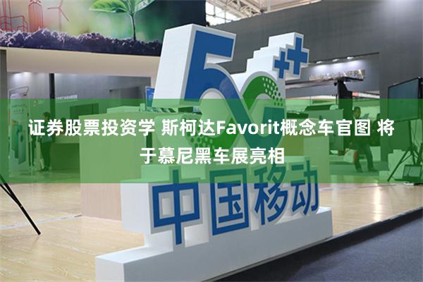 证券股票投资学 斯柯达Favorit概念车官图 将于慕尼黑车展亮相
