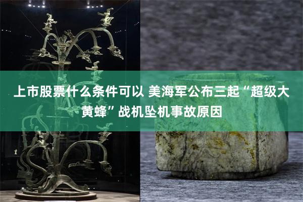 上市股票什么条件可以 美海军公布三起“超级大黄蜂”战机坠机事故原因