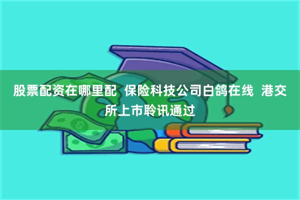 股票配资在哪里配  保险科技公司白鸽在线  港交所上市聆讯通过