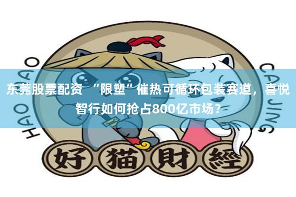 东莞股票配资  “限塑”催热可循环包装赛道，喜悦智行如何抢占800亿市场？