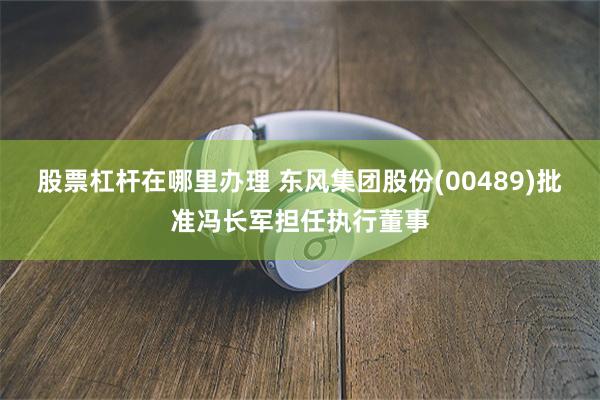 股票杠杆在哪里办理 东风集团股份(00489)批准冯长军担任执行董事
