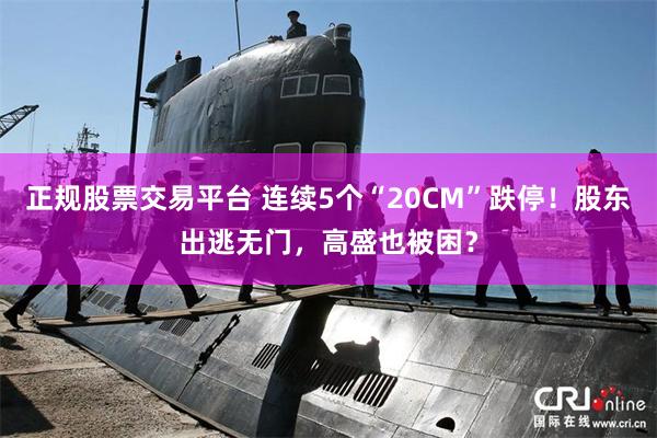 正规股票交易平台 连续5个“20CM”跌停！股东出逃无门，高盛也被困？