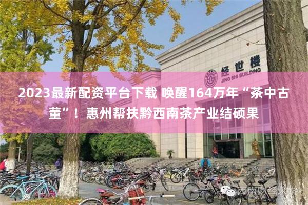 2023最新配资平台下载 唤醒164万年“茶中古董”！惠州帮扶黔西南茶产业结硕果