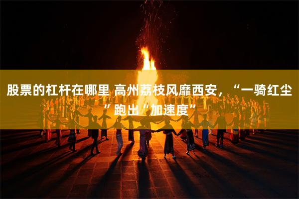 股票的杠杆在哪里 高州荔枝风靡西安，“一骑红尘”跑出“加速度”