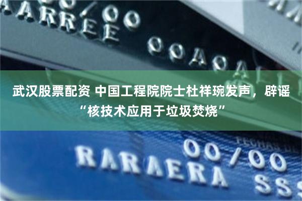 武汉股票配资 中国工程院院士杜祥琬发声，辟谣“核技术应用于垃圾焚烧”