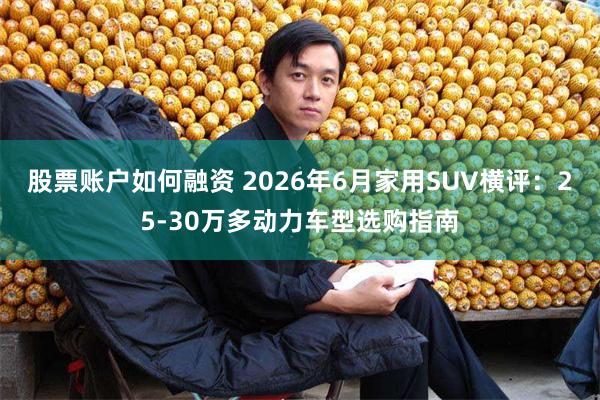 股票账户如何融资 2026年6月家用SUV横评：25-30万多动力车型选购指南