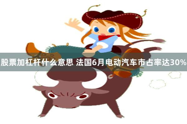 股票加杠杆什么意思 法国6月电动汽车市占率达30%