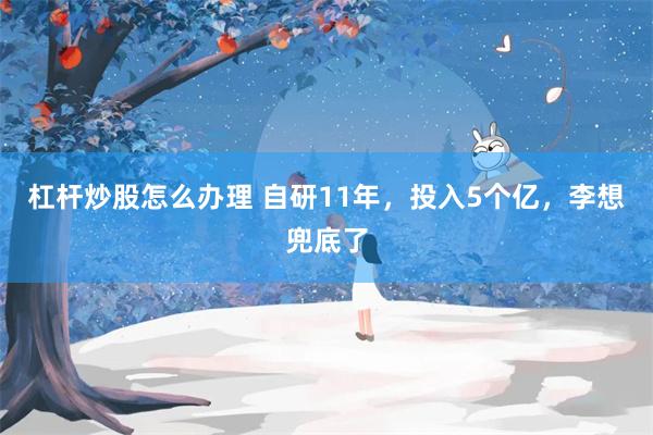 杠杆炒股怎么办理 自研11年，投入5个亿，李想兜底了