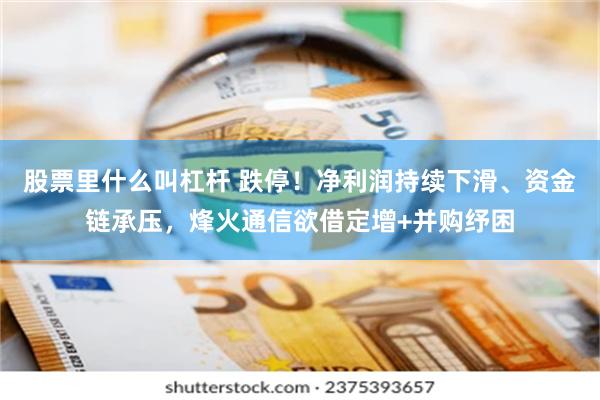 股票里什么叫杠杆 跌停！净利润持续下滑、资金链承压，烽火通信欲借定增+并购纾困