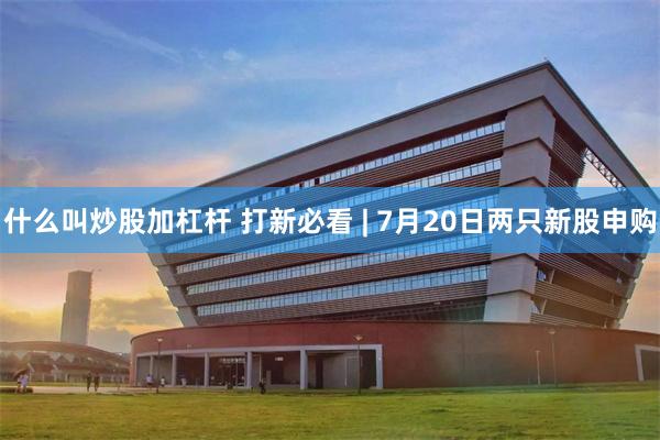 什么叫炒股加杠杆 打新必看 | 7月20日两只新股申购