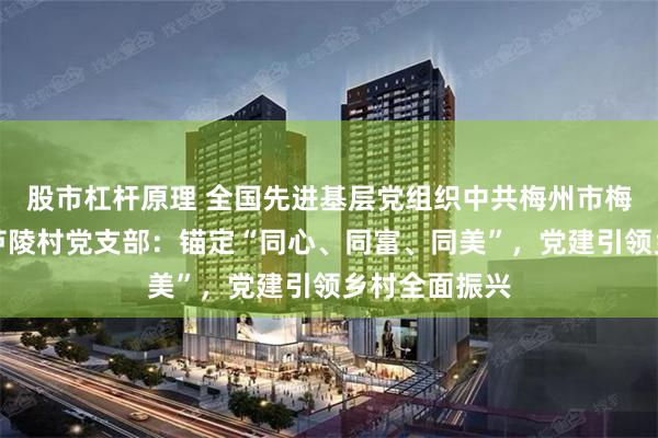 股市杠杆原理 全国先进基层党组织中共梅州市梅县区丙村镇芦陵村党支部：锚定“同心、同富、同美”，党建引领乡村全面振兴