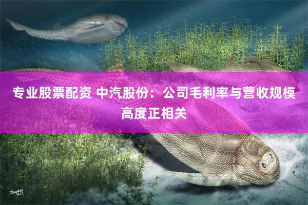 专业股票配资 中汽股份：公司毛利率与营收规模高度正相关