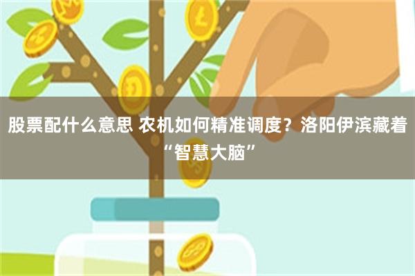股票配什么意思 农机如何精准调度？洛阳伊滨藏着“智慧大脑”