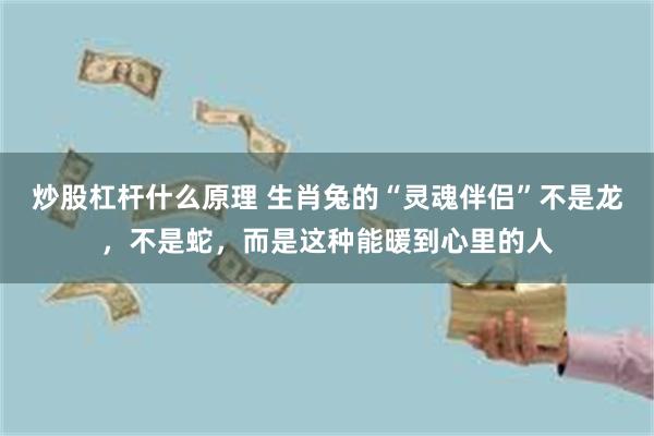 炒股杠杆什么原理 生肖兔的“灵魂伴侣”不是龙，不是蛇，而是这种能暖到心里的人