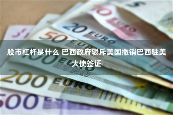股市杠杆是什么 巴西政府驳斥美国撤销巴西驻美大使签证