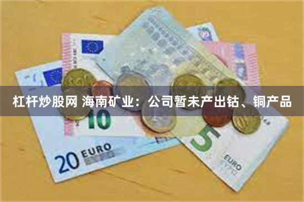 杠杆炒股网 海南矿业：公司暂未产出钴、铜产品