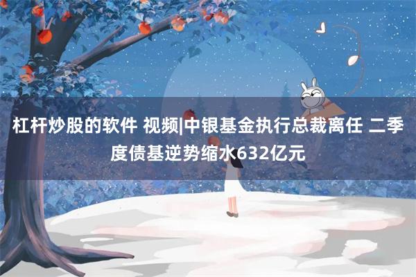 杠杆炒股的软件 视频|中银基金执行总裁离任 二季度债基逆势缩水632亿元