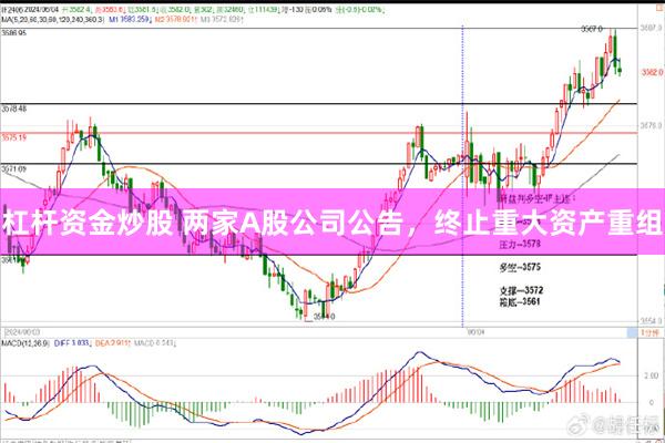 杠杆资金炒股 两家A股公司公告，终止重大资产重组