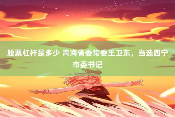 股票杠杆是多少 青海省委常委王卫东,当选西宁市委书记