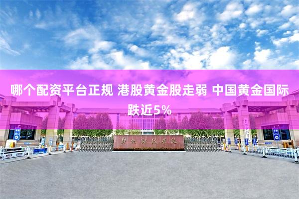 哪个配资平台正规 港股黄金股走弱 中国黄金国际跌近5%