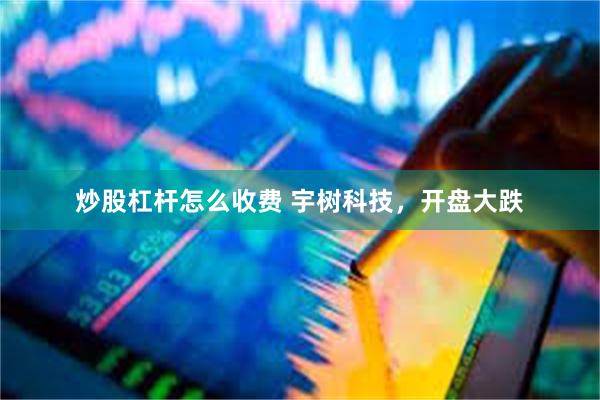 炒股杠杆怎么收费 宇树科技，开盘大跌