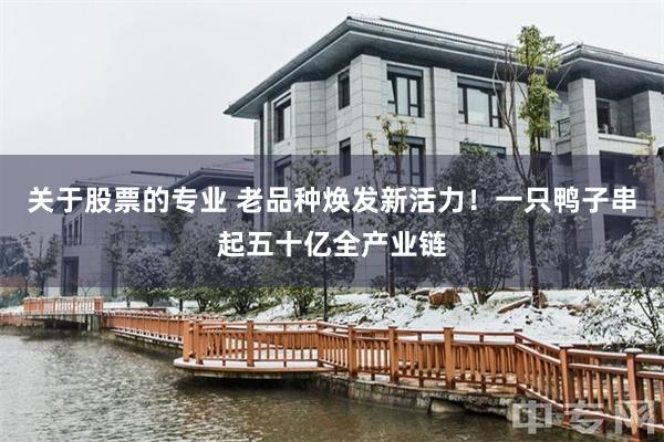 关于股票的专业 老品种焕发新活力！一只鸭子串起五十亿全产业链