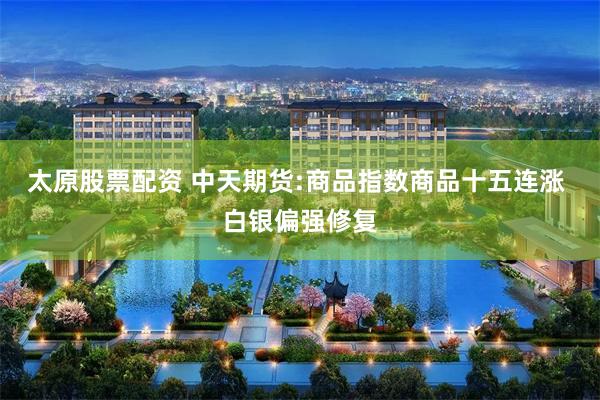 太原股票配资 中天期货:商品指数商品十五连涨 白银偏强修复