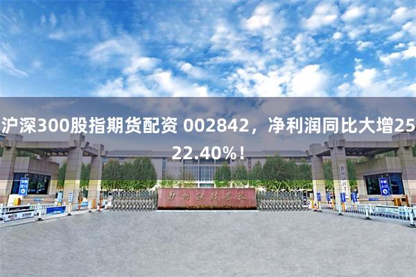 沪深300股指期货配资 002842，净利润同比大增2522.40%！