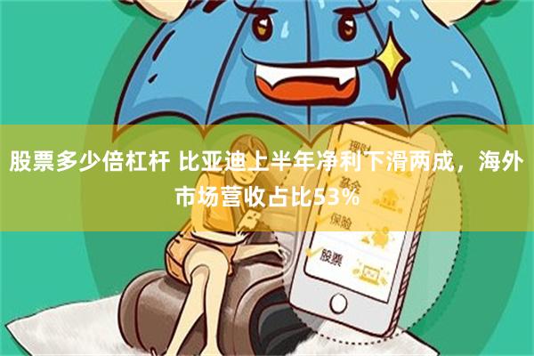 股票多少倍杠杆 比亚迪上半年净利下滑两成，海外市场营收占比53%
