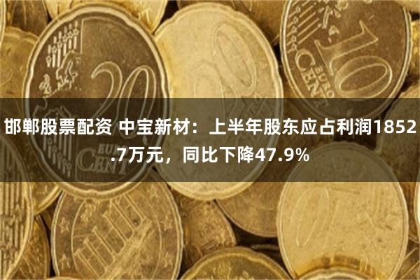 邯郸股票配资 中宝新材：上半年股东应占利润1852.7万元，同比下降47.9%
