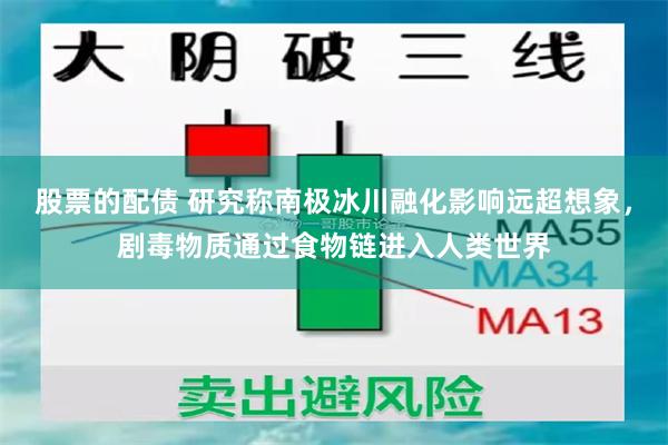 股票的配债 研究称南极冰川融化影响远超想象，剧毒物质通过食物链进入人类世界