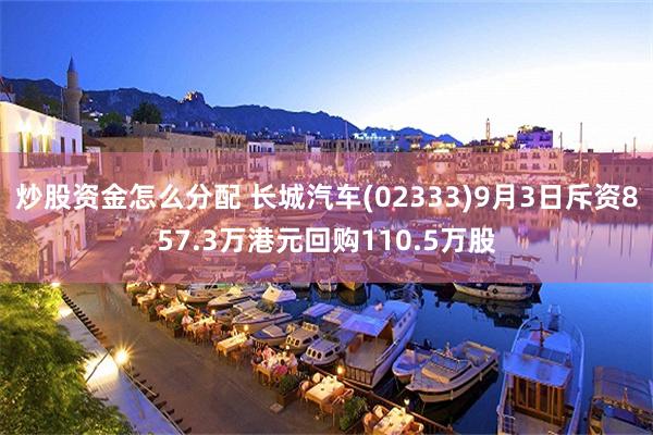 炒股资金怎么分配 长城汽车(02333)9月3日斥资857.3万港元回购110.5万股