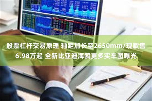 股票杠杆交易原理 轴距加长至2650mm/现款售6.98万起 全新比亚迪海鸥更多实车图曝光