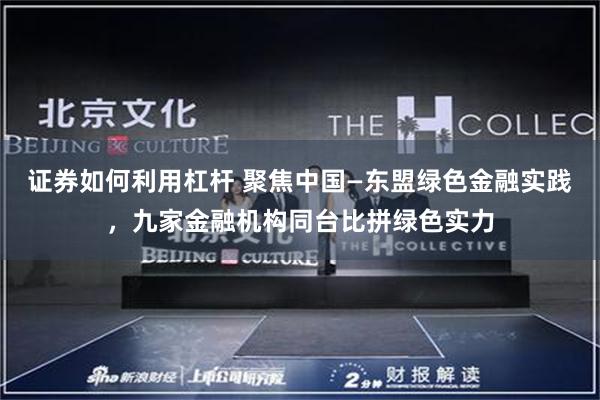 证券如何利用杠杆 聚焦中国—东盟绿色金融实践，九家金融机构同台比拼绿色实力