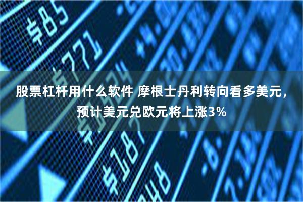 股票杠杆用什么软件 摩根士丹利转向看多美元，预计美元兑欧元将上涨3%