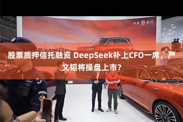 股票质押信托融资 DeepSeek补上CFO一席，严文韬将操盘上市？